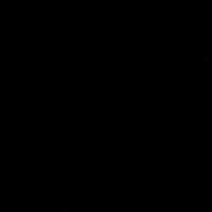 Meet your Posher, Emely